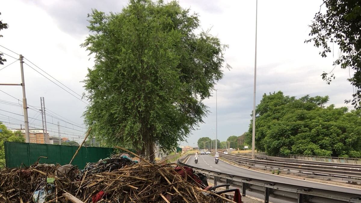 Roma, scoperta nuova discarica abusiva sull'Appia