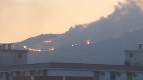 Palermo circondata dal fuoco, chiuso l'aeroporto. I roghi bloccano i soccorsi: muore un'anziana 1