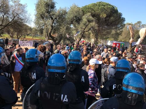 Il Tar ferma il cantiere Tap: "No all'espianto degli ulivi"