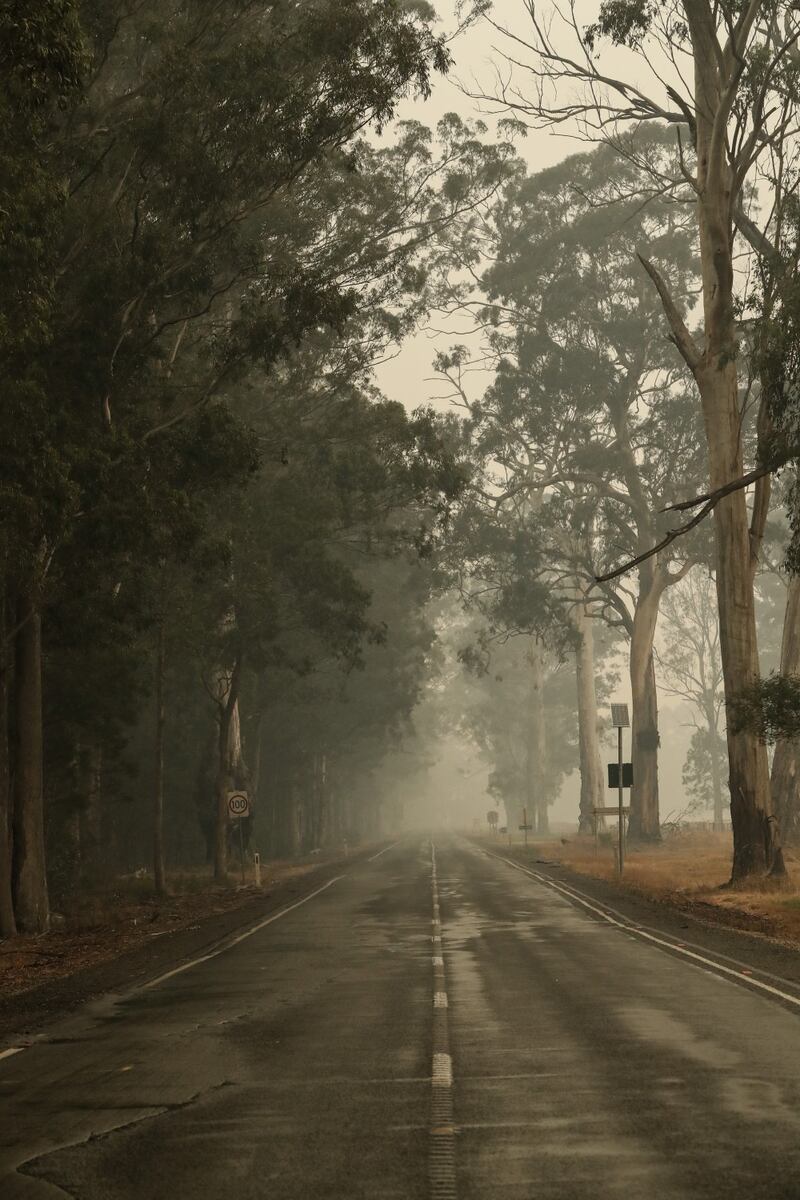 Incendi in Australia, le immagini della devastazione 8