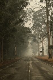 Incendi in Australia, le immagini della devastazione 8