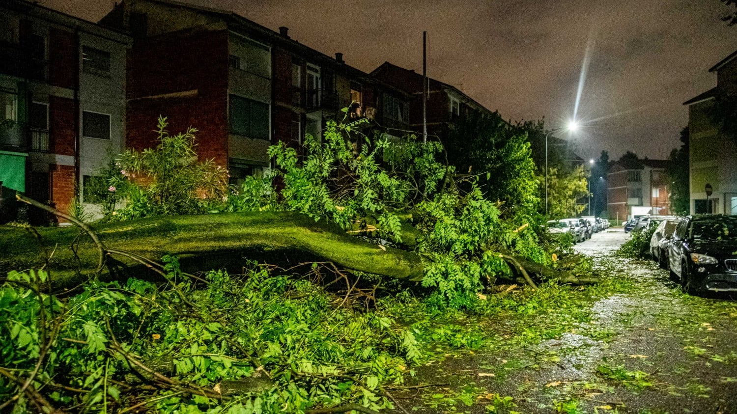 Un albero cade nel campeggio: morte sorelline di 3 e 14 anni
