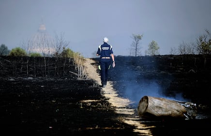 Incendio di pineta Sacchetti a Roma 2