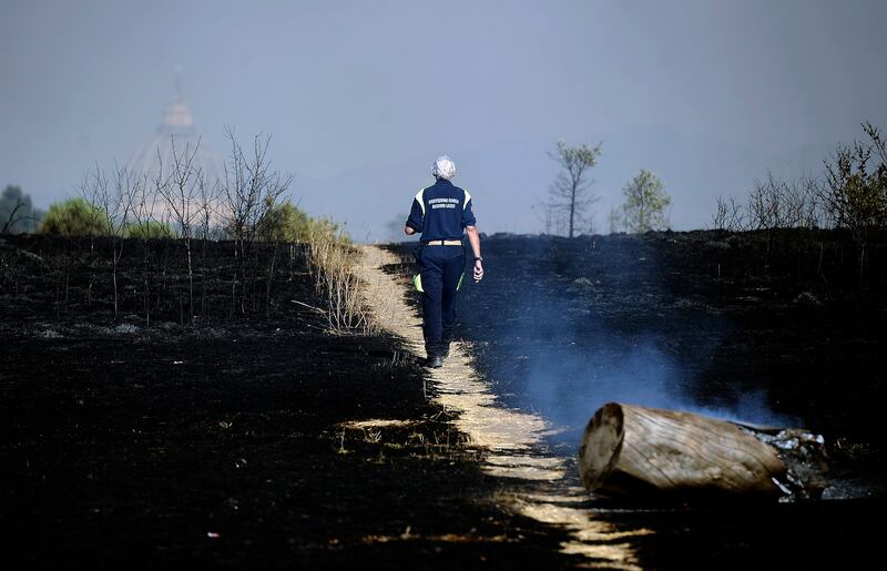 Incendio di pineta Sacchetti a Roma 2