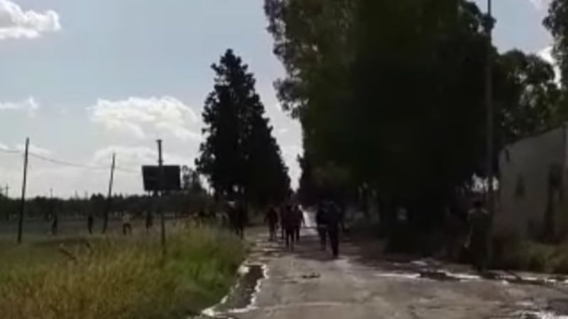 Le donne di Borgo Mezzanone: "È il luogo degli orrori" 6