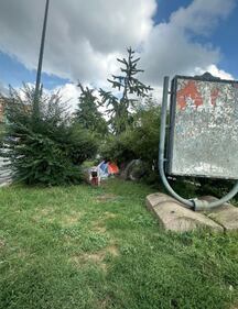 Degrado in via Padova e nelle zone limitrofe 4