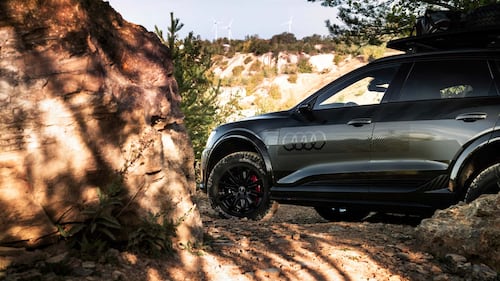 Audi Q8 e-tron edition Dakar, guarda tutte le foto 18