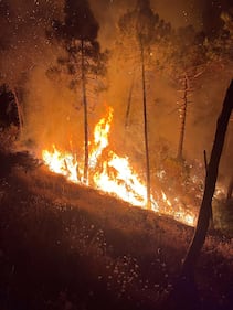 Incendio di Prato, vigili del fuoco e squadre antincendio all'opera 1