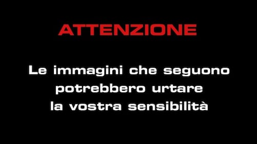 Sparatoria davanti Palazzo Chigi 1