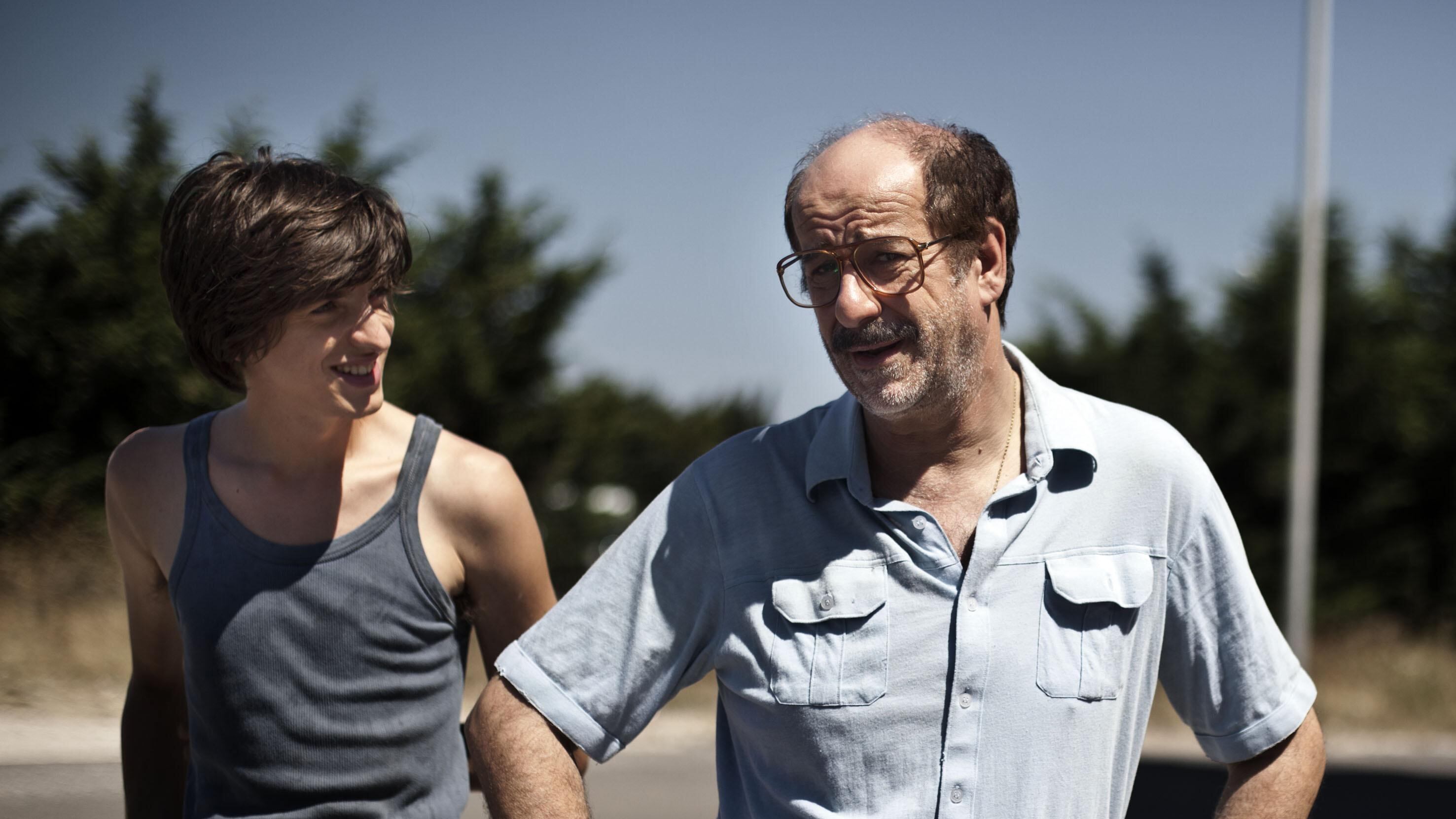Leoni a Venezia, gattini al box office