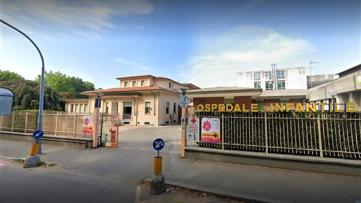 Punto da un calabrone: bimbo di 9 anni muore per choc anafilattico