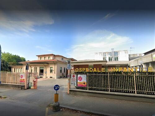 Punto da un calabrone: bimbo di 9 anni muore per choc anafilattico