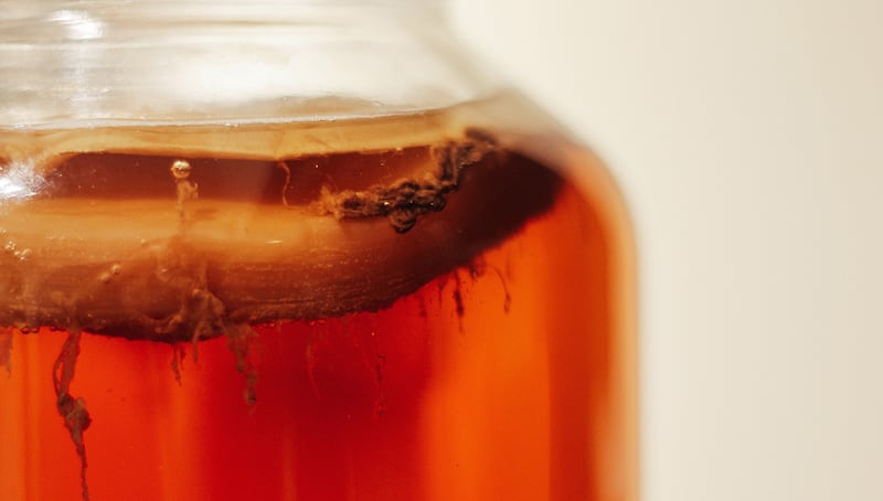 Kombucha