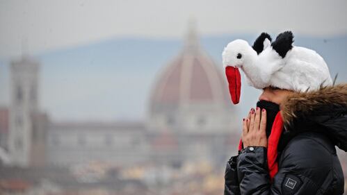 Firenze. La turista, il freddo e il pellicano 4