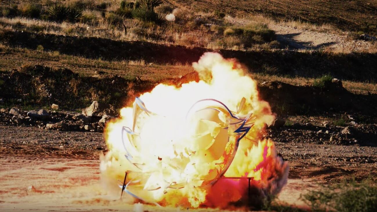 Esplode nel deserto Larry, l'uccellino di Twitter. Ecco chi c'è dietro