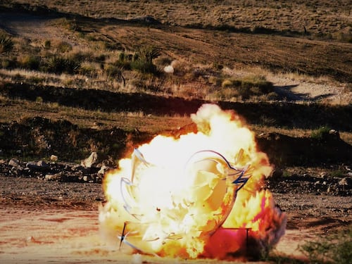Esplode nel deserto Larry, l'uccellino di Twitter. Ecco chi c'è dietro