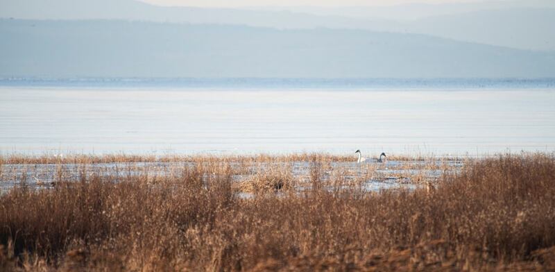 Delta del Po