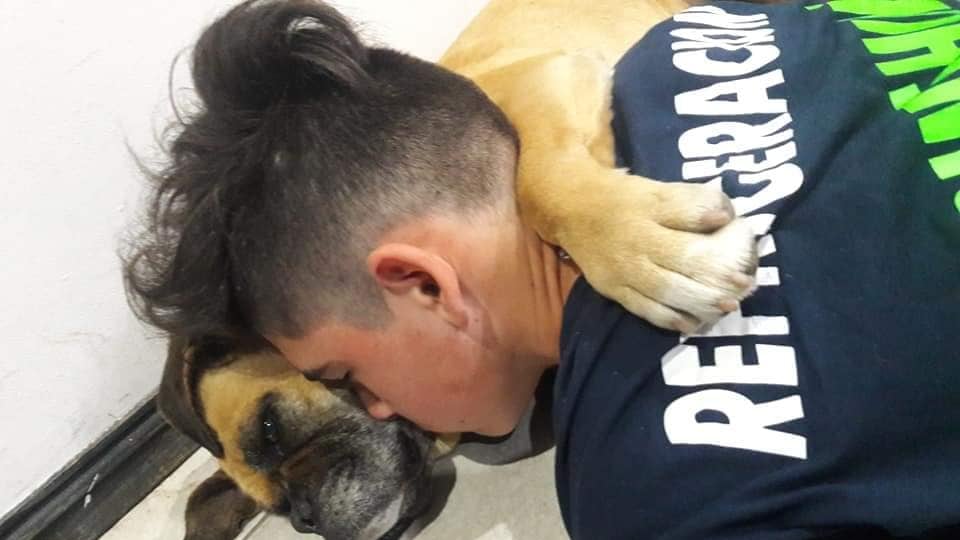 Cane muore per lo spavento dei fuochi d'artificio abbracciata al proprietario