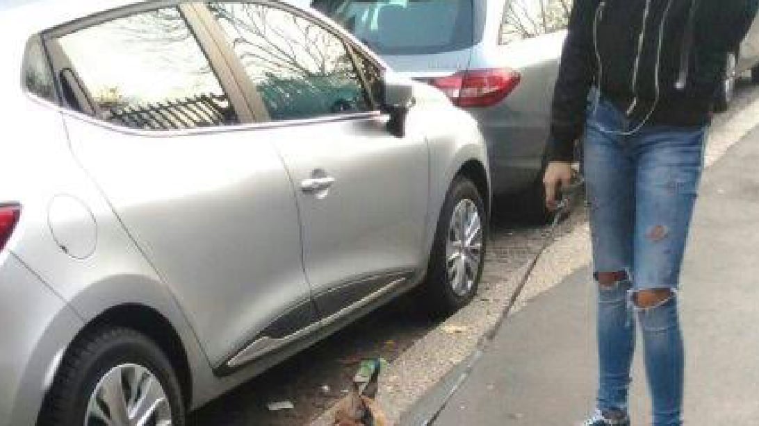 Milano, il giallo del "caracal" (lince del deserto) segnalato dal Comune