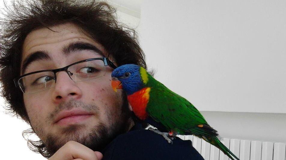 L'autopsia sul corpo di Domenico: "Alcol nello stomaco, aveva bevuto poco prima di morire"