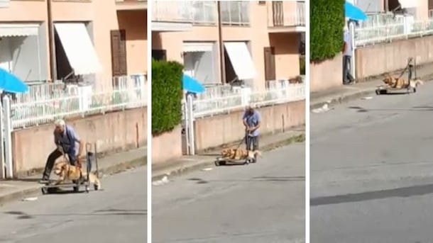Il video che commuove l'Italia: anziano porta a spasso cane malato