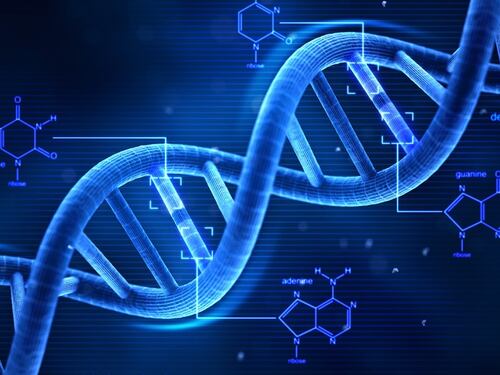 Storia, scoperte in Sicilia le tracce genetiche dei coloni greci di Eubea
