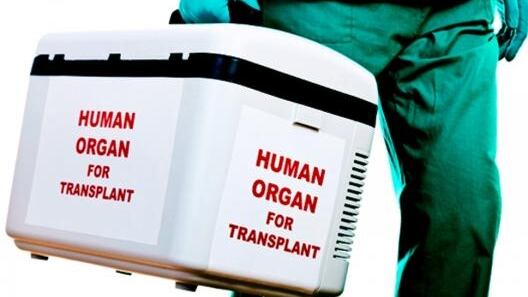Francia, automaticamente donatori di organi al momento della morte