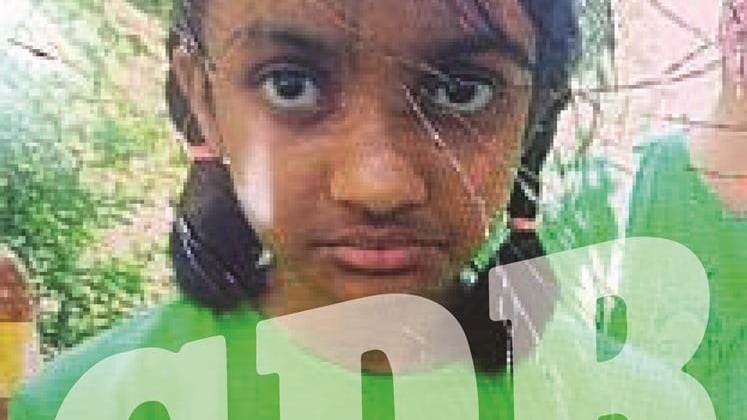 Una bambina autistica in gita con gli educatori scomparsa nei boschi
