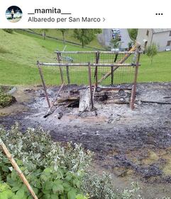 Sondrio, cani arsi vivi perché abbaiavano troppo 4