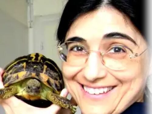 Veterinaria travolta da auto dopo aver salvato cane abbandonato