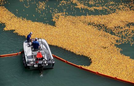 Chicago, un mare di anatre di gomma invadono il fiume 7