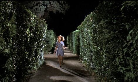 Il cinema di Dario Argento 25