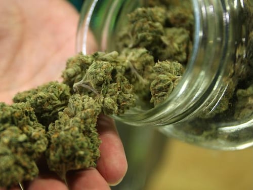 Milano, apre il primo negozio per la vendita legale di cannabis