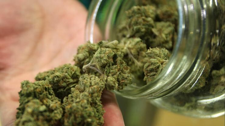 Milano, apre il primo negozio per la vendita legale di cannabis