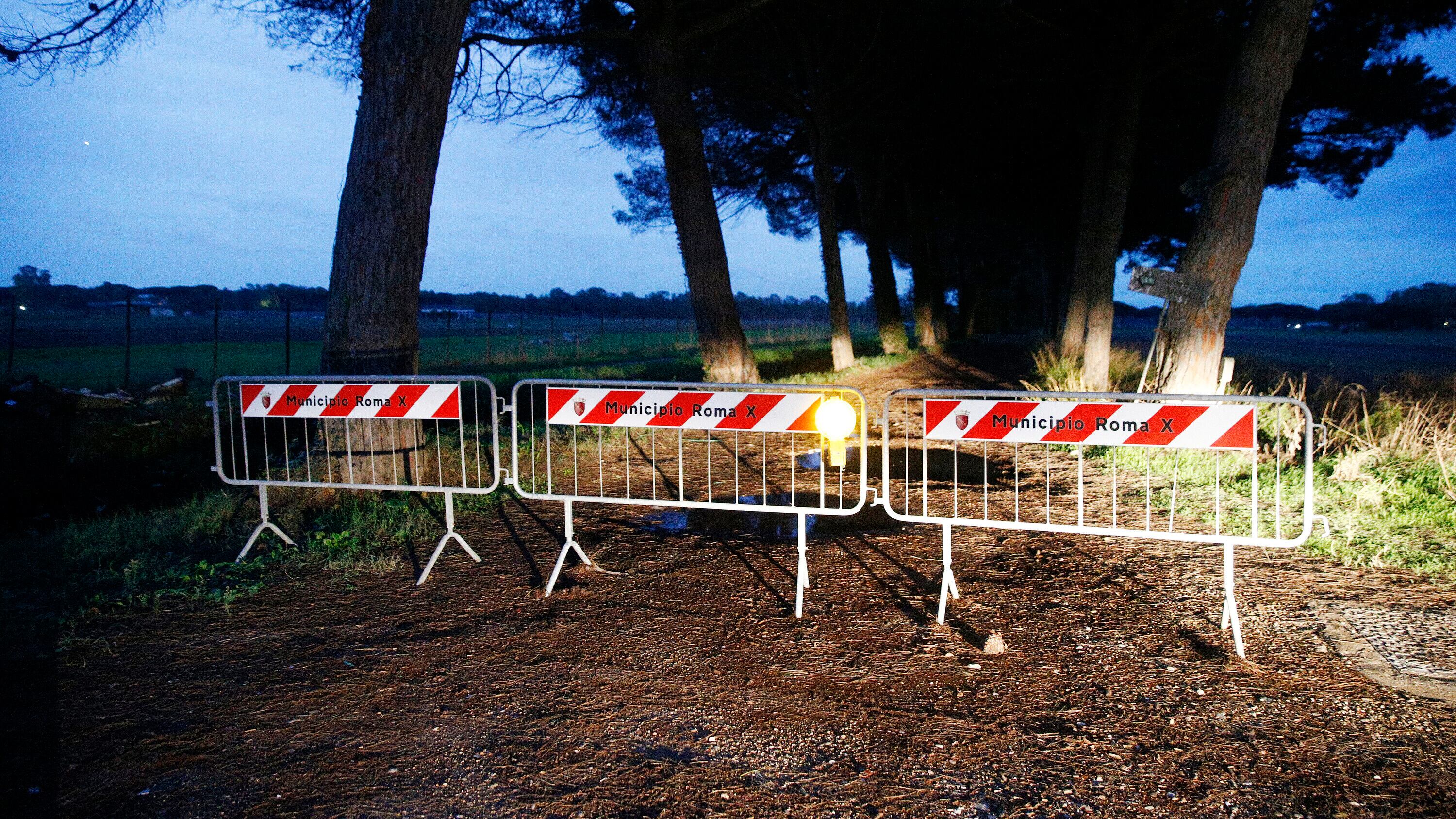 "Sequestrati migliaia di esemplari". Allerta per focolai di aviaria in Italia
