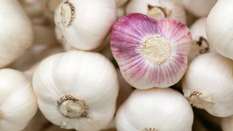 Dieta della vagina: arrivano i cibi per la salute intima