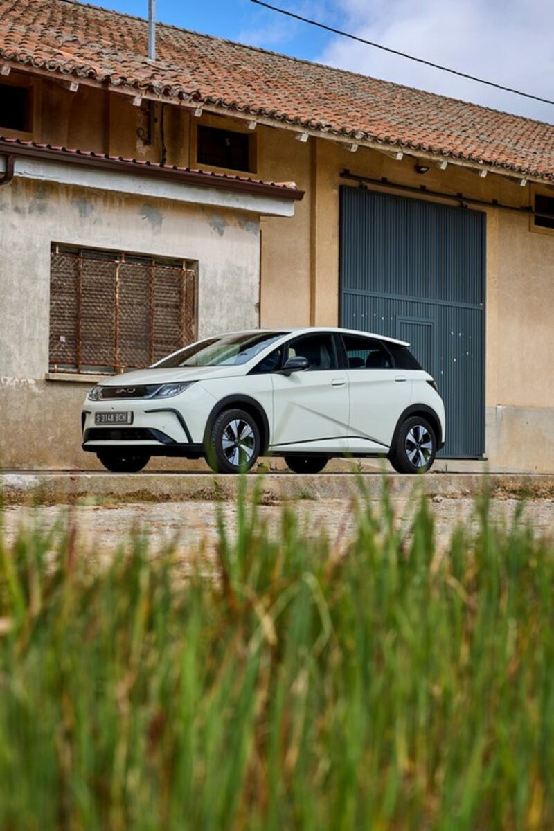 BYD Dolphin, guarda la gallery 11