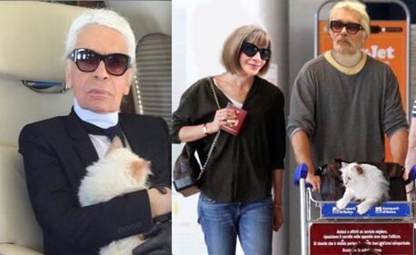 Morto ad 85 anni Karl Lagerfield 6