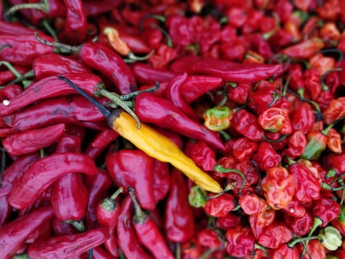 Peperoncino, dalla cucina alla salute: ecco come utilizzarlo