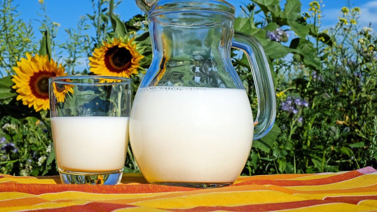Latte caldo prima di dormire? Ecco perché facilita il sonno