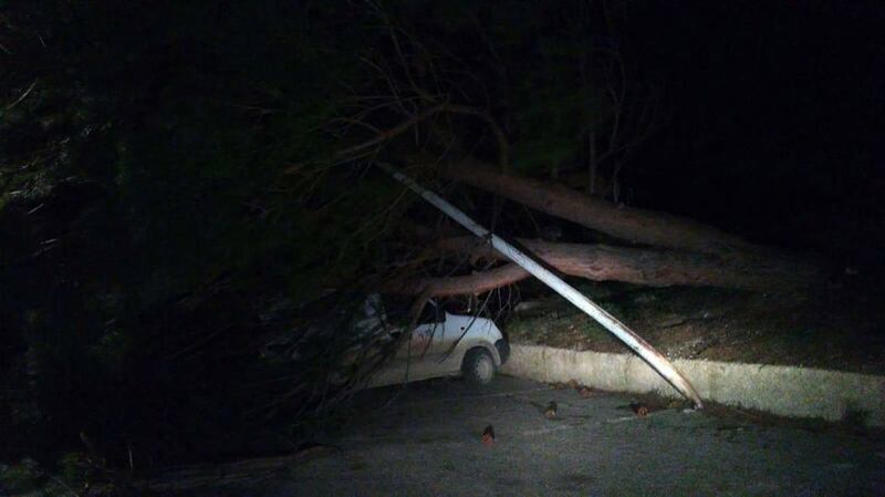 Tetti crollati, alberi sradicati e decine di feriti: il bollettino "di guerra" del vento 3