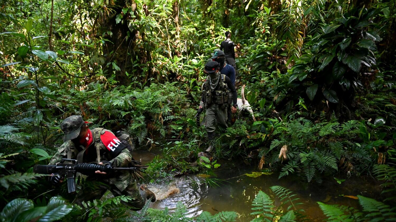 Nella giungla colombiana, dove si nasconde l'Eln