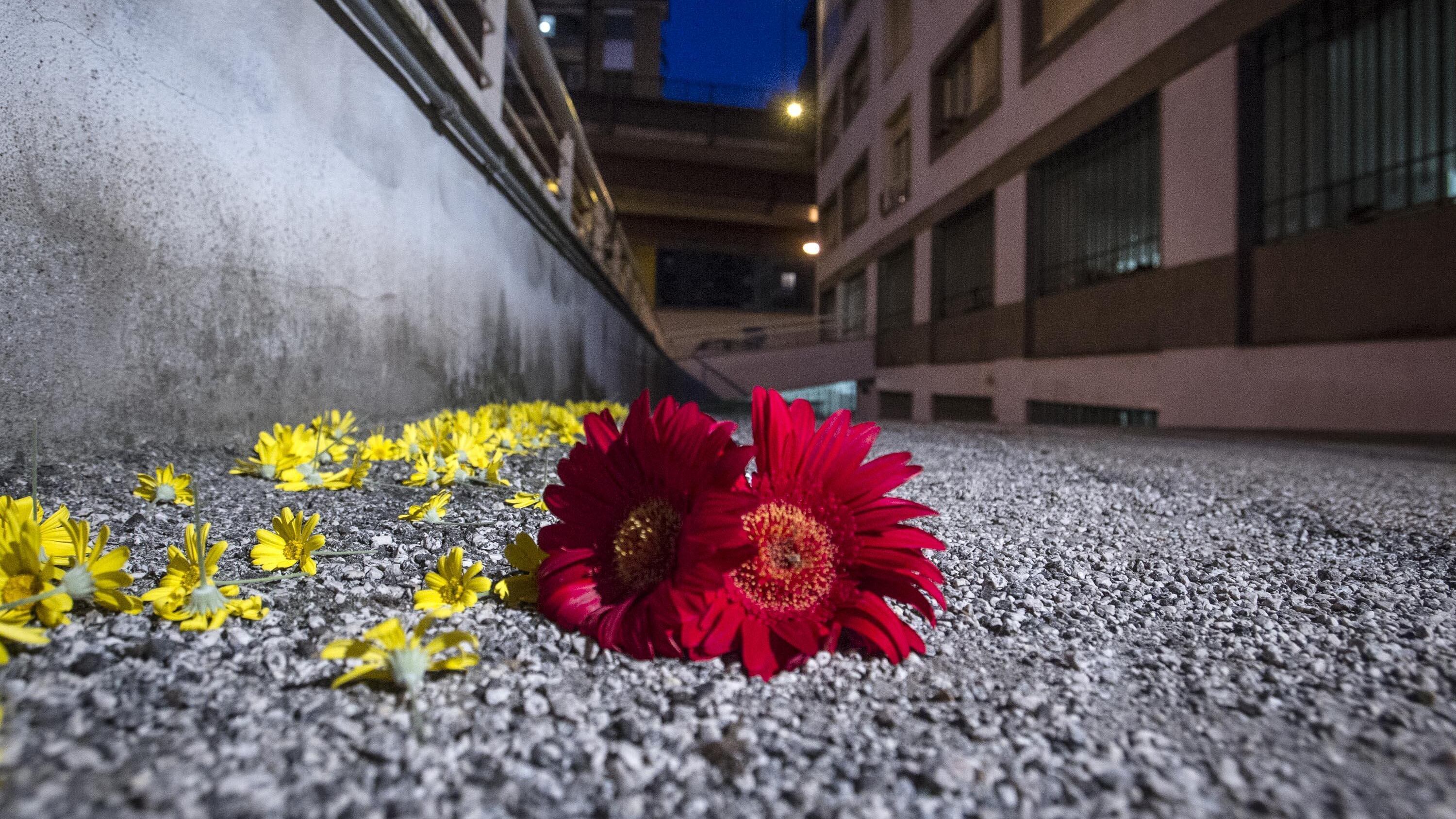 Roma, nella lettera del giovane gay suicida la denuncia delle vessazioni