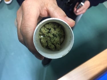 Puglia, le immagini dell'ambulatorio di cannabis terapia 5