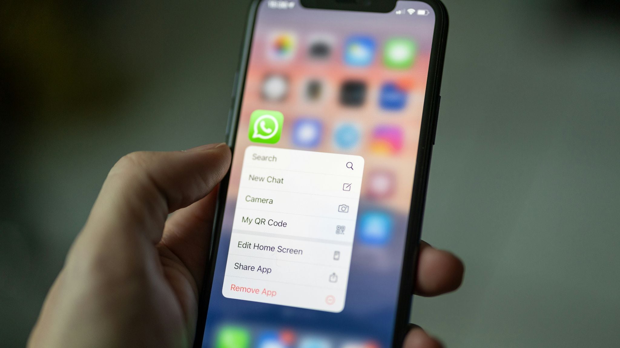 WhatsApp, cambia tutto: al via la prenotazione degli username e stop al numero di telefono