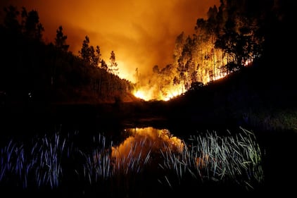 Incendio in Portogallo: 58 morti 6