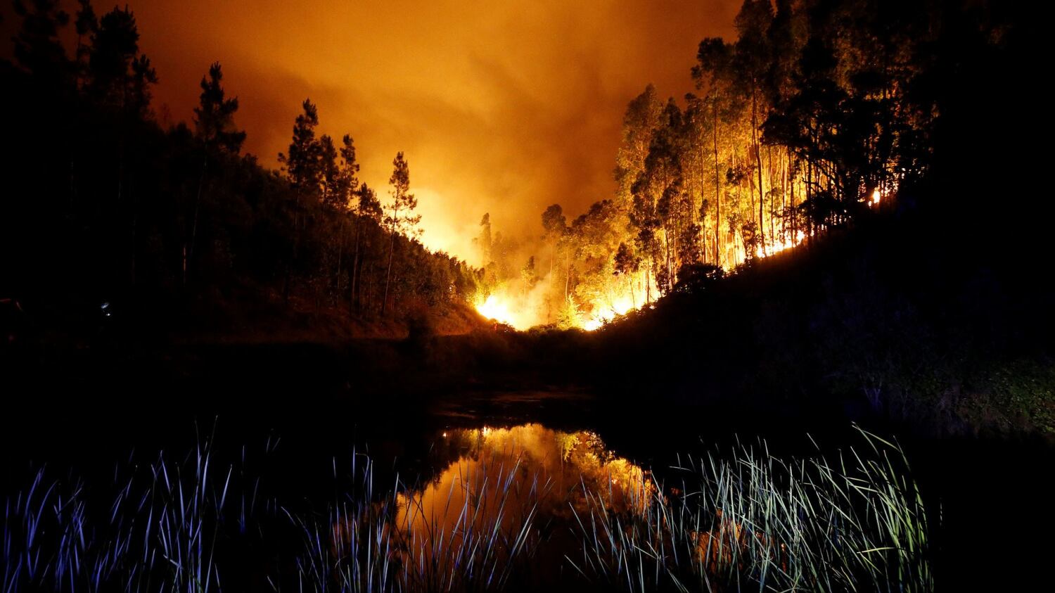 Incendio in Portogallo, gravi falle nel sistema dei soccorsi