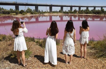 Lago australiano rosa: le foto 6