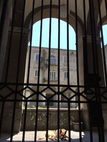 Napoli, il quartiere della Forcella 12