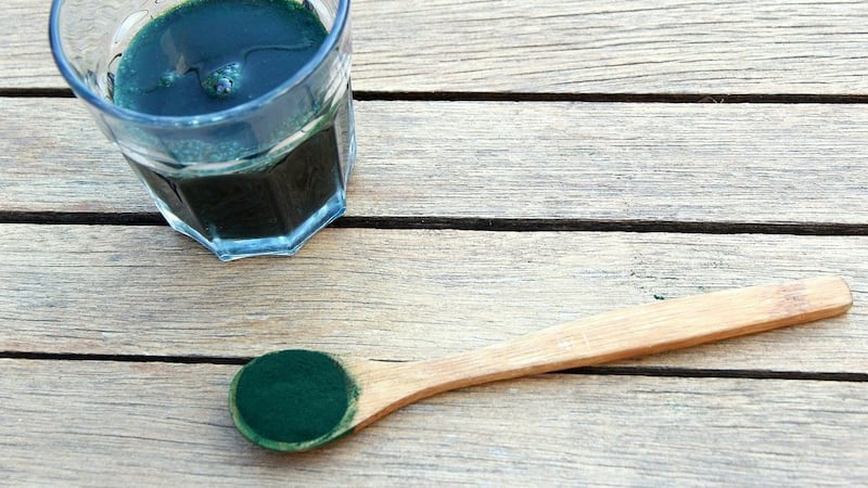 Alga spirulina în polvere